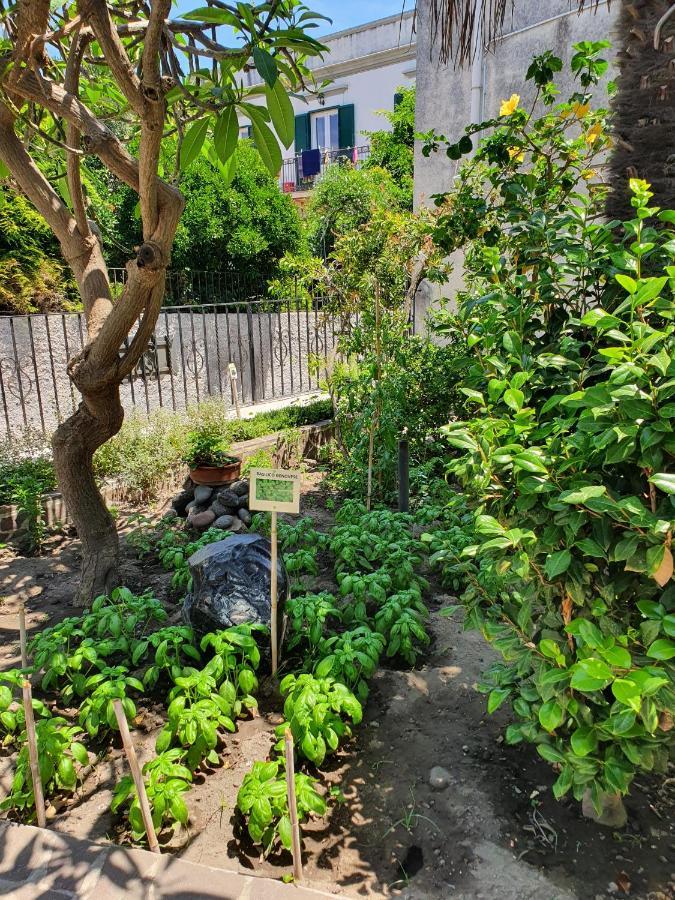 Casa Dafne Villa ลีปารี ภายนอก รูปภาพ